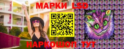 мяу мяу мука Тверь