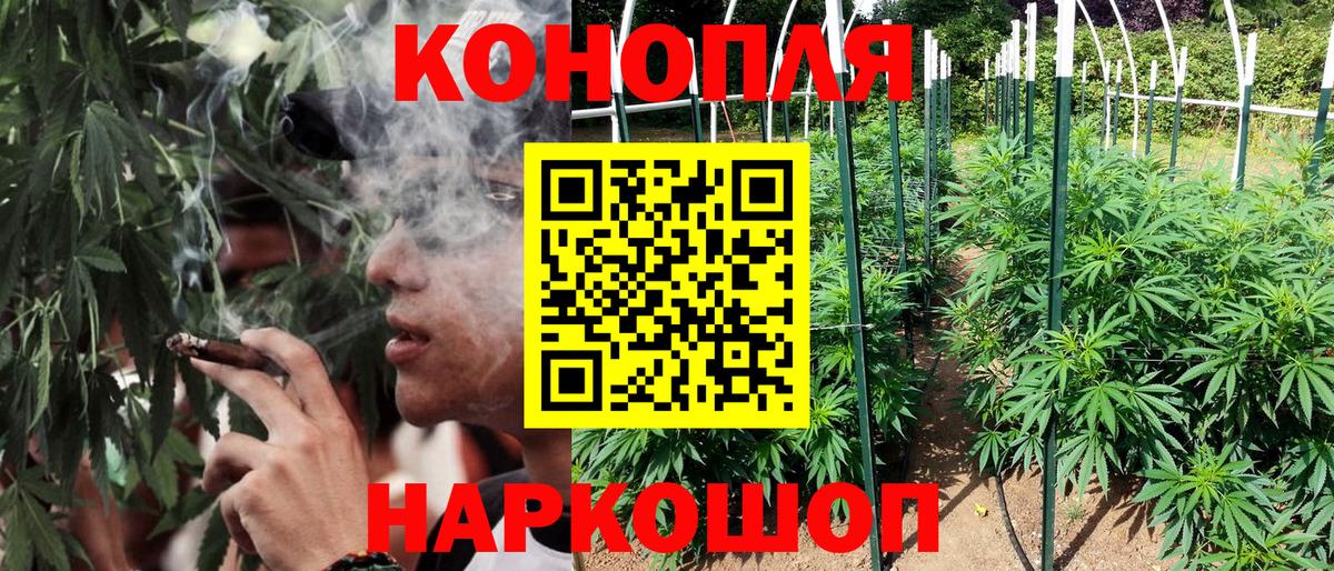 Бошки Шишки сатива Лысьва